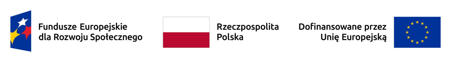 Dofinansowanie projektu Peer Support Fundusze Europejskie dla Rozwoju Społecznego, Rzeczpospolita Polska, Dofinansowane przez Unię Europejską