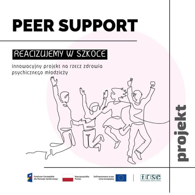 Działania w projekcie Peer Support